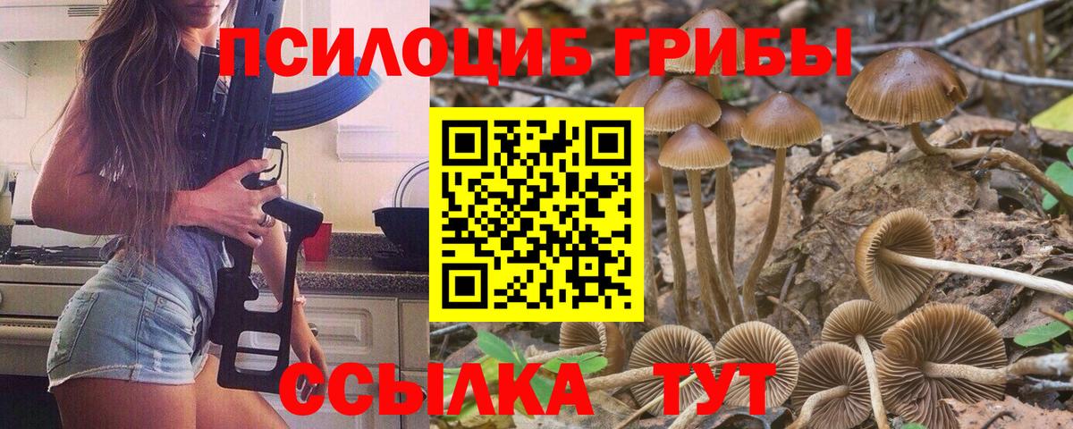 Каменка  магазин продажи наркотиков  Галлюциногенные грибы ЛСД  Вход с VPN  Галлюциногенные грибы Psilocybine cubensis 